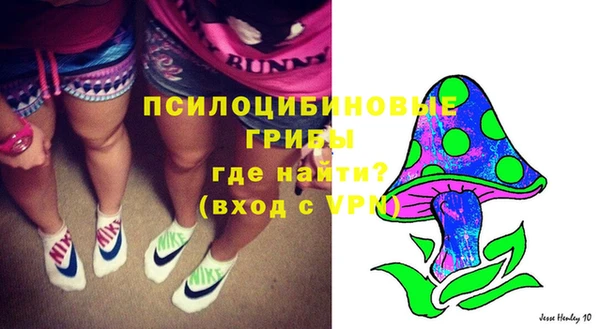 дмт Алзамай